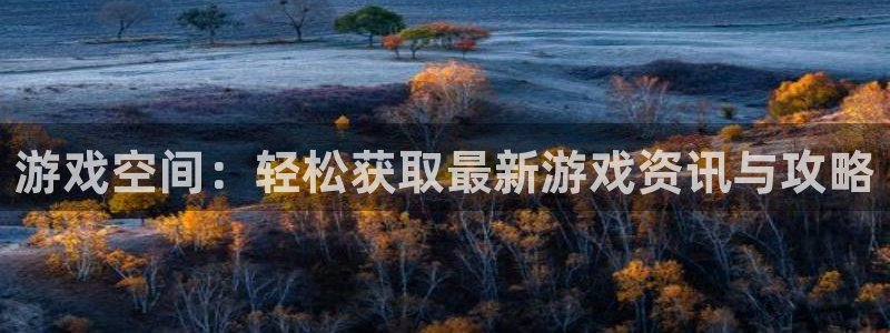 星欧娱乐平台注册资金多少：游戏空间：轻松获取最新游戏资讯与攻